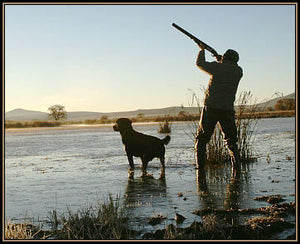 Duckr﻿ Hunting: The Most Efficient Guns Out There