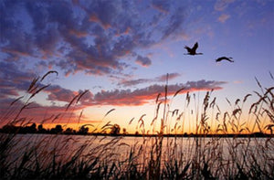Thank you Duck Hunters on Earth Day 2016
